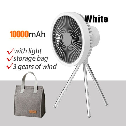 on-the-go fan